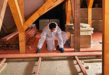 Attic Insulation | Attic Cleaning Sunnyvale, CA