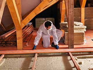 Attic Insulation Services | Attic Cleaning Sunnyvale, CA Attic Insulation Services | Attic Cleaning Sunnyvale, CA